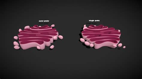 GOLGI APPARATUS - Buy Royalty Free 3D model by Deepak_Sharma [0f64e76 ...