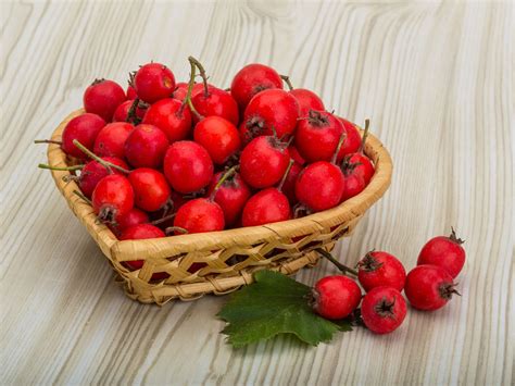 Health Benefits Of Hawthorn Berry