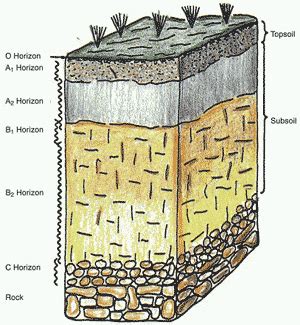 Geologic Column | Creation Facts