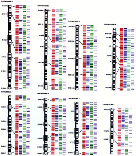 Human Genome Map