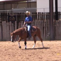 Matt Mills Reining Horses | Team Matt Mills