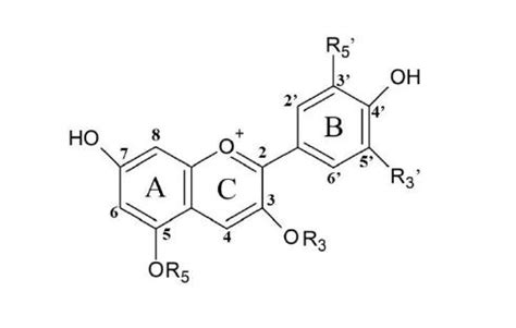 Figure1. Structural representation of anthocyanidin. | Download ...