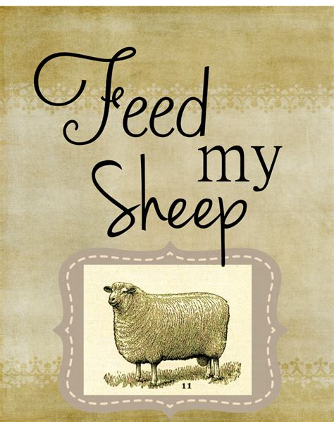 Feed My Sheep