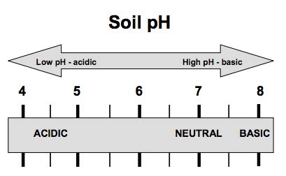 Soil ph adjustment calculator