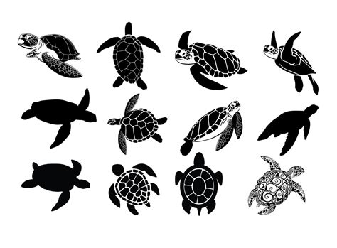 TURTLE SVG Sea Turtle Svg Sea Turtles Clipart Turtle Svg Files For