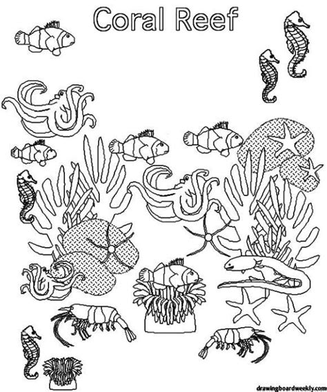 Printable Coral Reef Coloring Page - HopenMeson