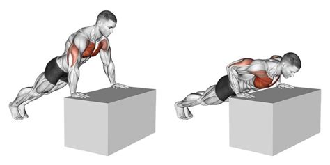 Lower Pec Exercises No Weights | EOUA Blog