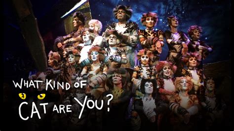 Cats Broadway Cast List