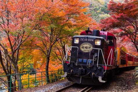 sagano_scenic_railway_autumn_colors_arashiyama_kyoto | Kyuhoshi