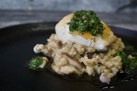 Organic Ocean: Tasty Lingcod Portions, Seafood Packs & More