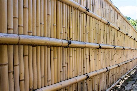 Bamboo Privacy Fence: A Comprehensive DIY Guide