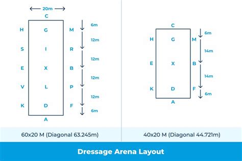 What is Standard Dressage Arena Layout | Performance Footing