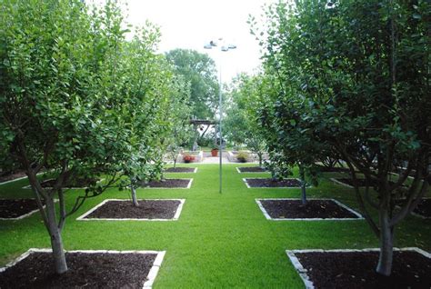 Orchard and Vegetable Garden - Gardenista | Tree garden design, Orchard ...