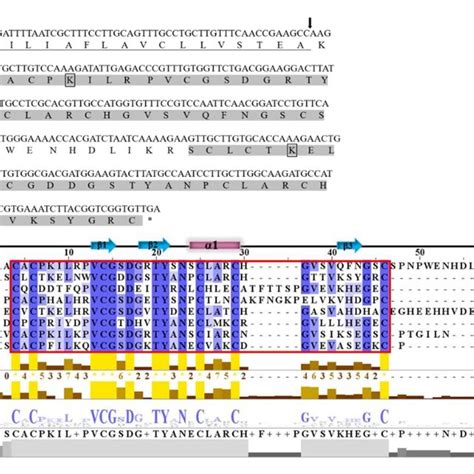 Nucleotide sequence and multiple sequence alignment of the gene (a ...