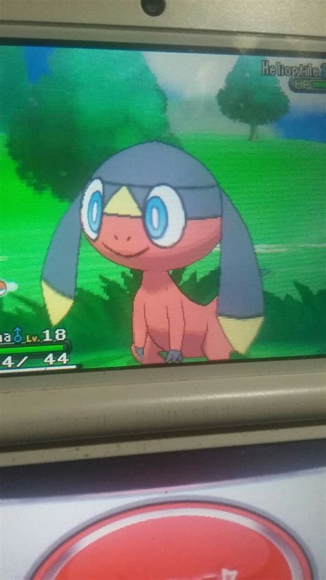 Shiny Hunting~ — Shiny Helioptile after 272 Random Encounters in...