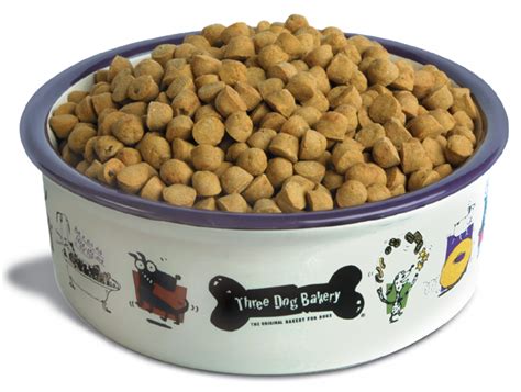 dog food bowl - Dog Breeders Guide