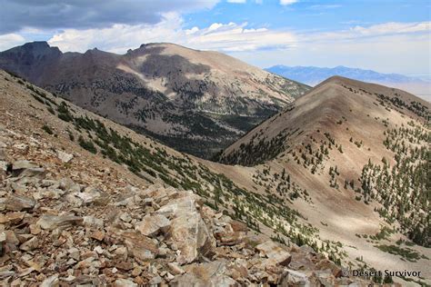 Desert Survivor: Pyramid Peak Hike, Great Basin National Park, Nevada