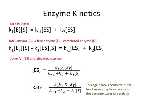 PPT - Enzyme Kinetics PowerPoint Presentation, free download - ID:2261336