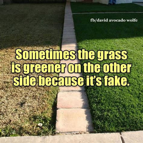 Sometimes Grass Is Greener On The Other Side Because Its Fake Pictures ...