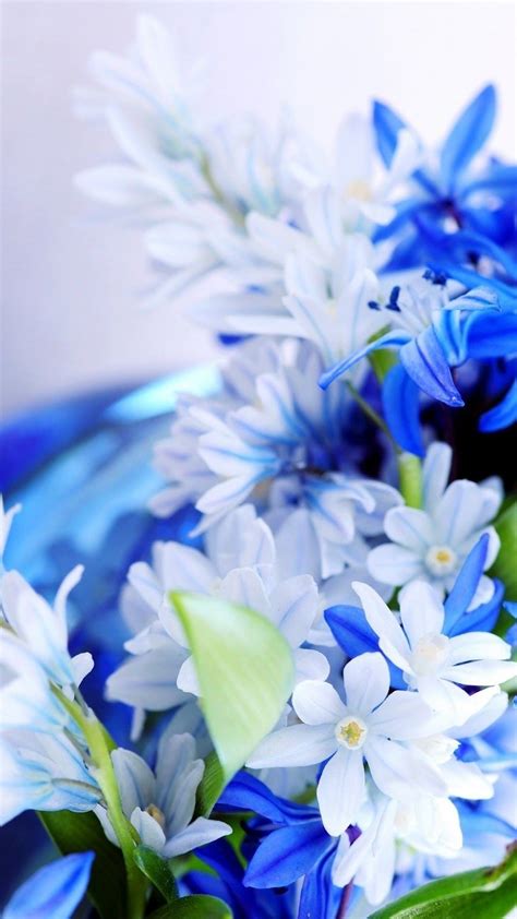 Blue White Flowers Wallpaper iPhone | 2021 3D iPhone Wallpaper