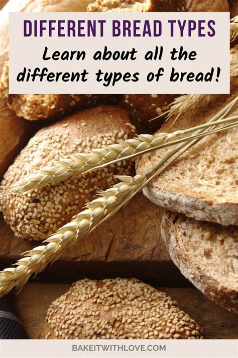 Types Of Bread: Varieties Of Bread From Around The World