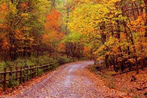 2023 Fall Foliage Color Tours in Nashville and Middle TN | Tennessee ...