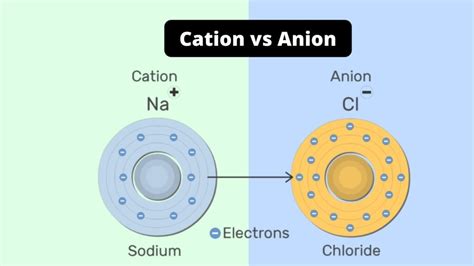 Difference Between Cation and Anion - Cation vs Anion - Biology Notes ...