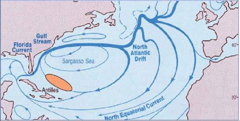 North Atlantic Gyre Map