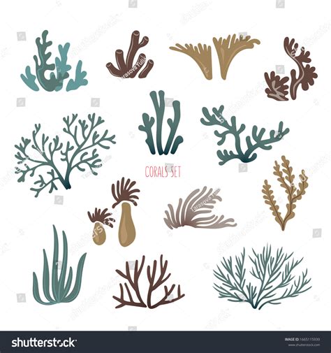 Set Underwater Ocean Coral Reef Plants Stock Vector (Royalty Free ...