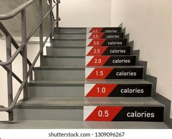 Walking Stairs Burned Calories Concept Step Stock Photo 1309096267 ...