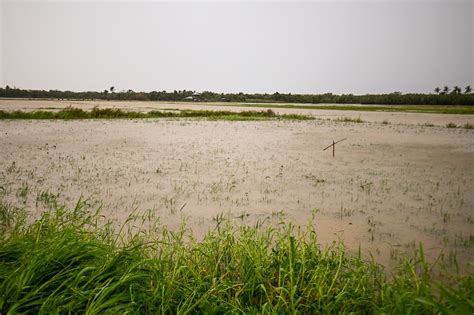 Marcos vows aid for farmers affected by typhoon Egay – Filipino News