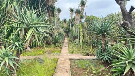 Madeira Botanical Garden Top 10 free things to do in Madeira