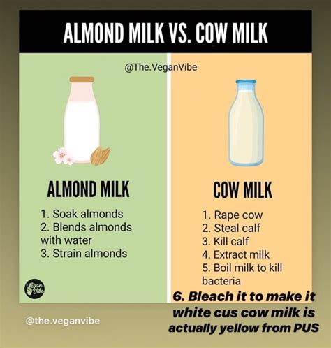 Soy Milk Vs Almond Nutrition Facts | Besto Blog