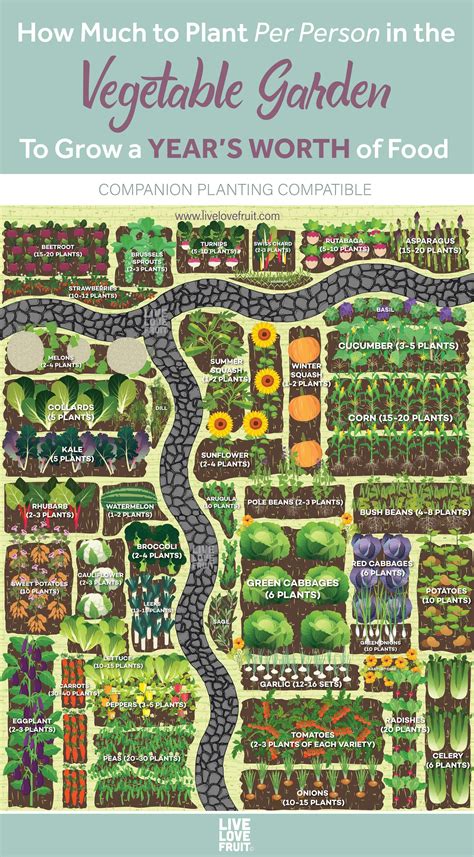 Food garden layout – Artofit