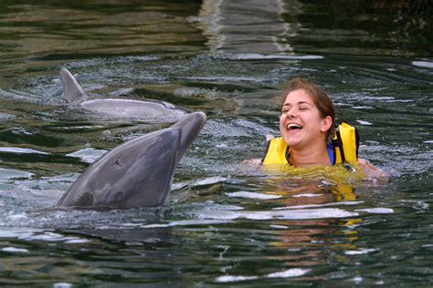 Swimming with Dolphins Ban: 5 Fast Facts You Need to Know | Heavy.com