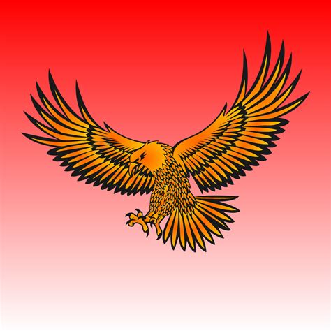 golden eagle vector in flight 9767279 Vector Art at Vecteezy