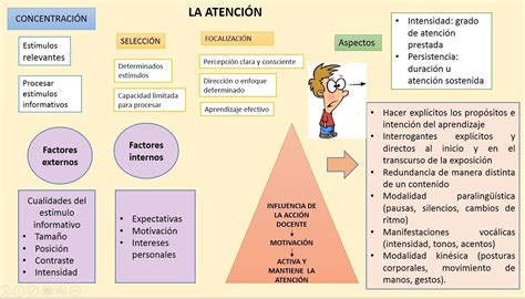 Rivas, M. (2008). PROCESOS COGNITIVOS Y APRENDIZAJE SIGNIFICATIVO ...