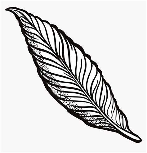 Turkey Feather Outline Clipart Image