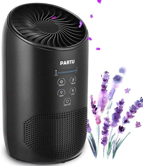 Which is the Best Air Purifier for Smoke Under $100 in 2021?