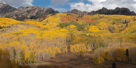 11 Colorful Autumn Drives in Colorado | Top Places to See Fall Foliage