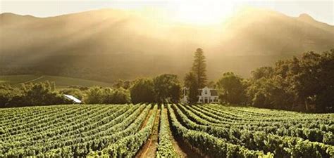 Exploring the Constantia wine route | ComeToCapeTown