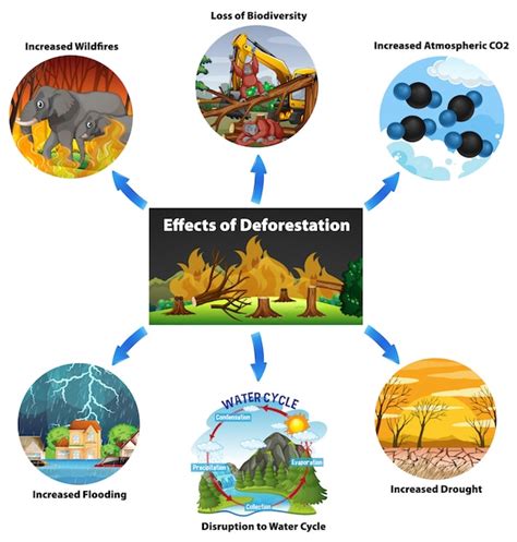 Deforestation Effect Chart