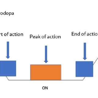 DAILY MOTOR FLUCTUATIONS IN PATIENTS WITH PARKINSON'S DISEASE (ON/OFF ...