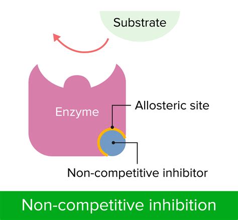 Enzyme Inhibition | Concise Medical Knowledge