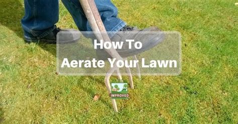 How To Aerate Your Lawn - Yards Improved