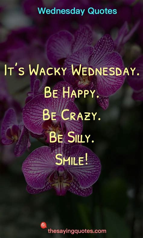 Wacky Wednesday Quotes - ShortQuotes.cc