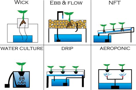 Types of hydroponic systems - NoSoilSolutions