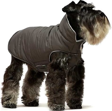 Amazon.com: designer dog coats