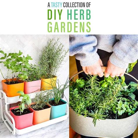 Indoor Herb Garden Planter Boxes - Garden Design Ideas