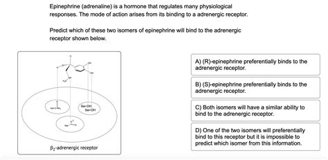 Solved Epinephrine (adrenaline) is a hormone that regulates | Chegg.com